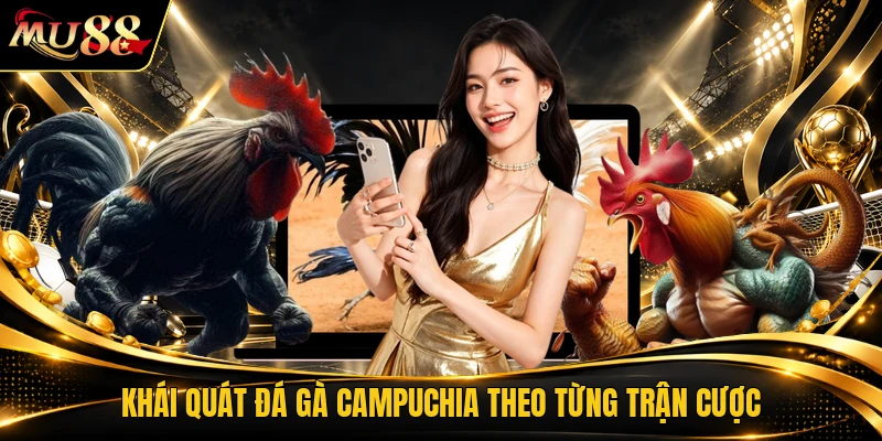 Khái quát đá gà campuchia theo từng trận cược