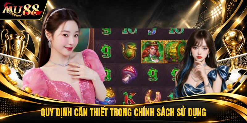 Quy định cần thiết trong chính sách sử dụng