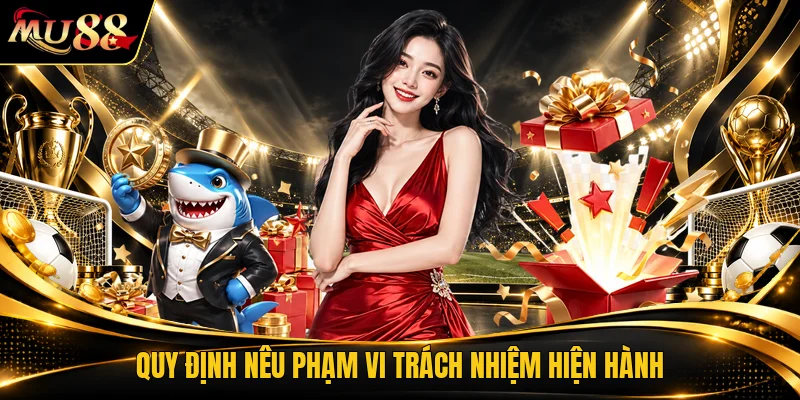 Quy định nêu phạm vi trách nhiệm hiện hành