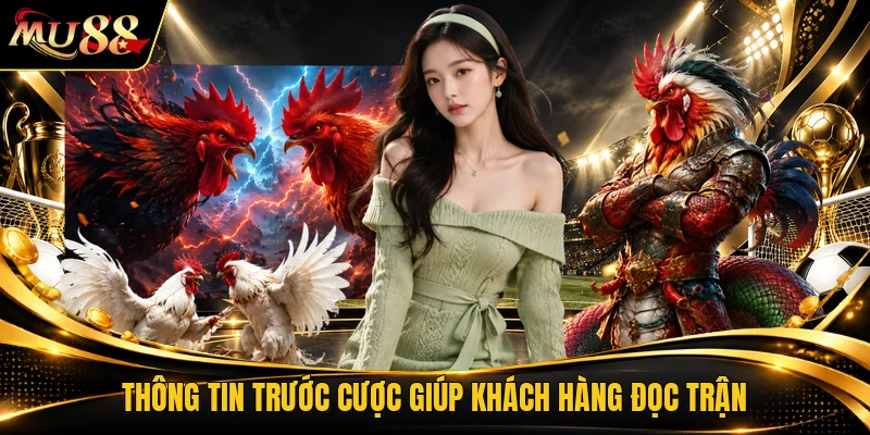 Thông tin trước cược giúp khách hàng đọc trận