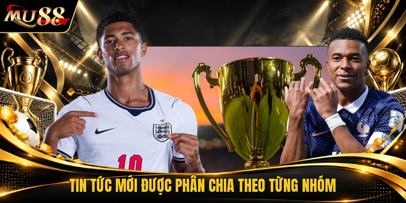Tin tức mới được phân chia theo từng nhóm
